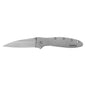 Kershaw Knives Leek 1660 Frame Lock 410 Steel 14C28N Pocket Knife Stainless